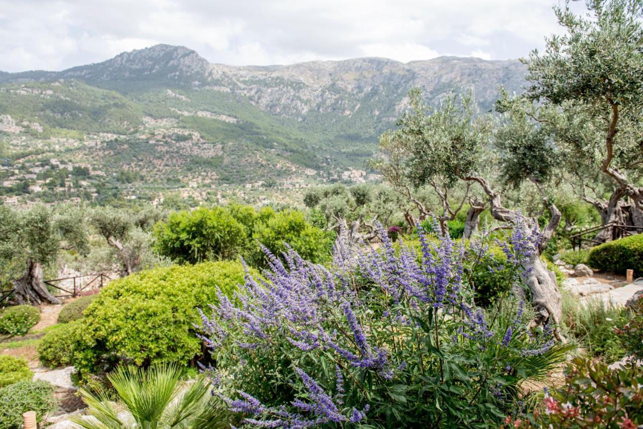 Sa Pedrissa Villa Дея Екстериор снимка